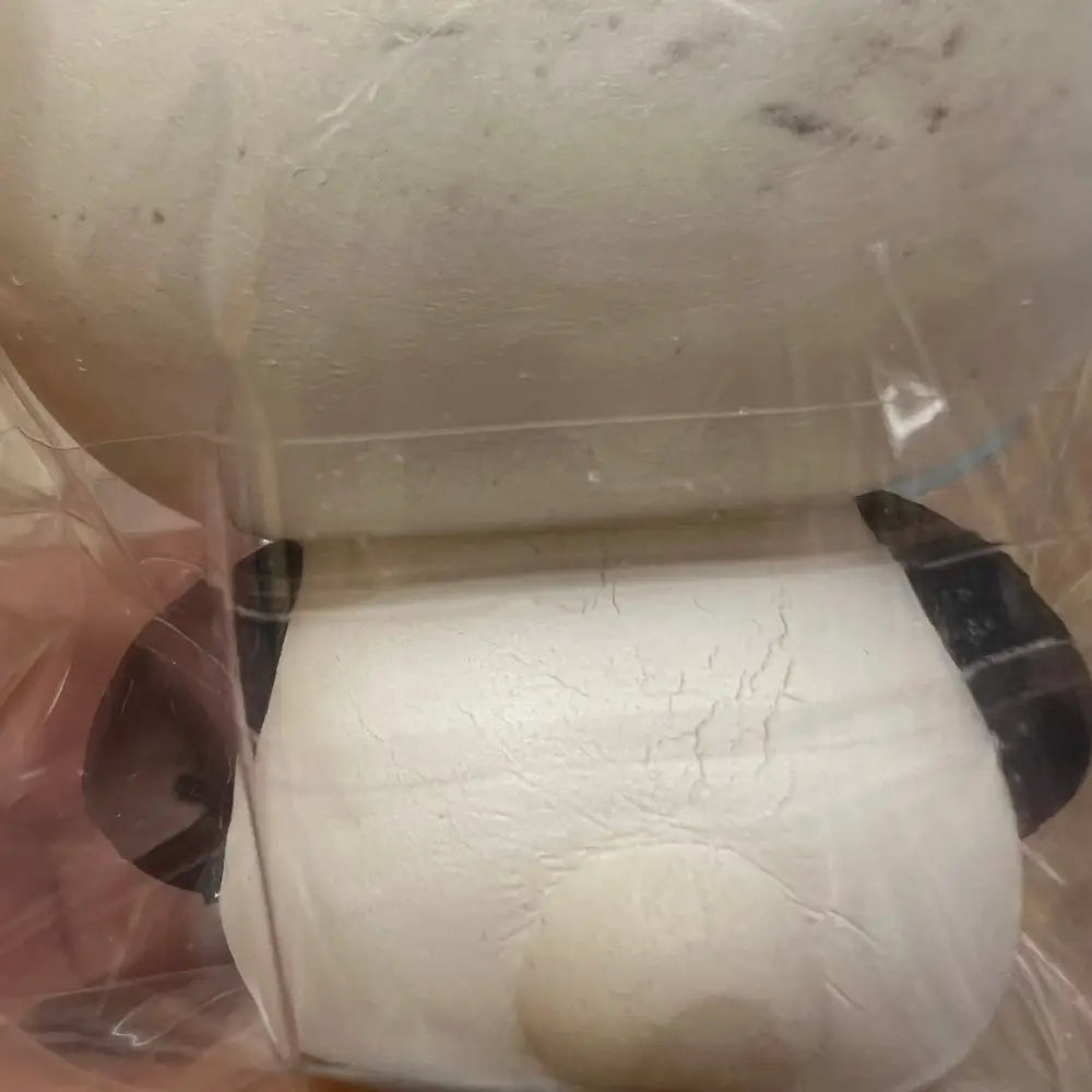 RARE Hello Kitty in a Panda Costume Squishy