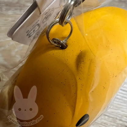 RARE Kapibarasan Squishy