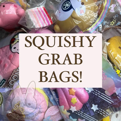 Squishy Grab Bag!